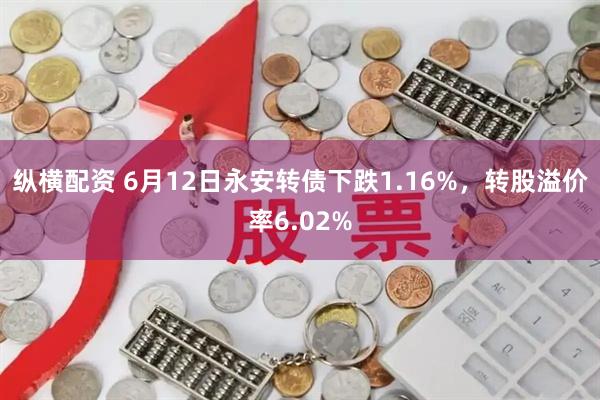 纵横配资 6月12日永安转债下跌1.16%，转股溢价率6.02%